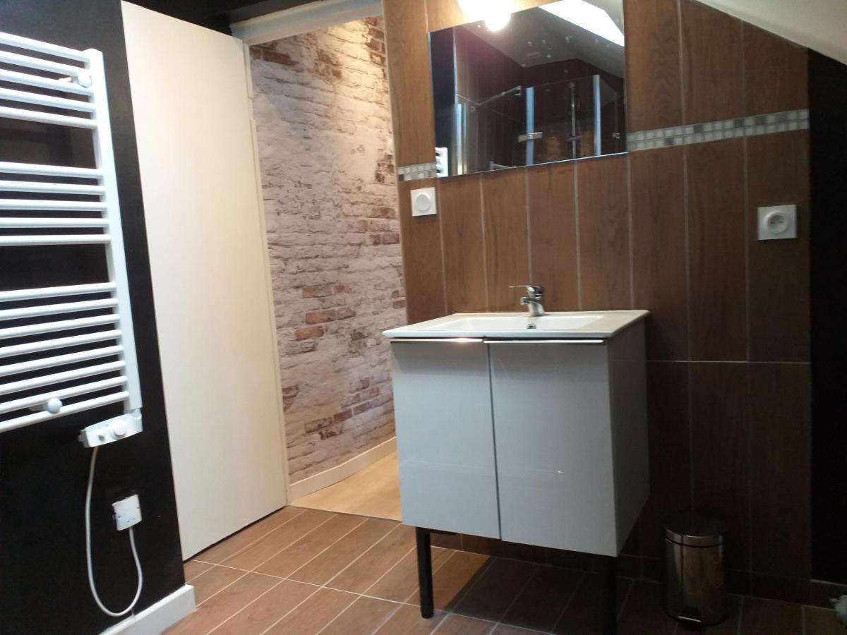 Les Volets Bleus - Deux Appartements Et Un Studio, Jardin Bourges Exterior foto