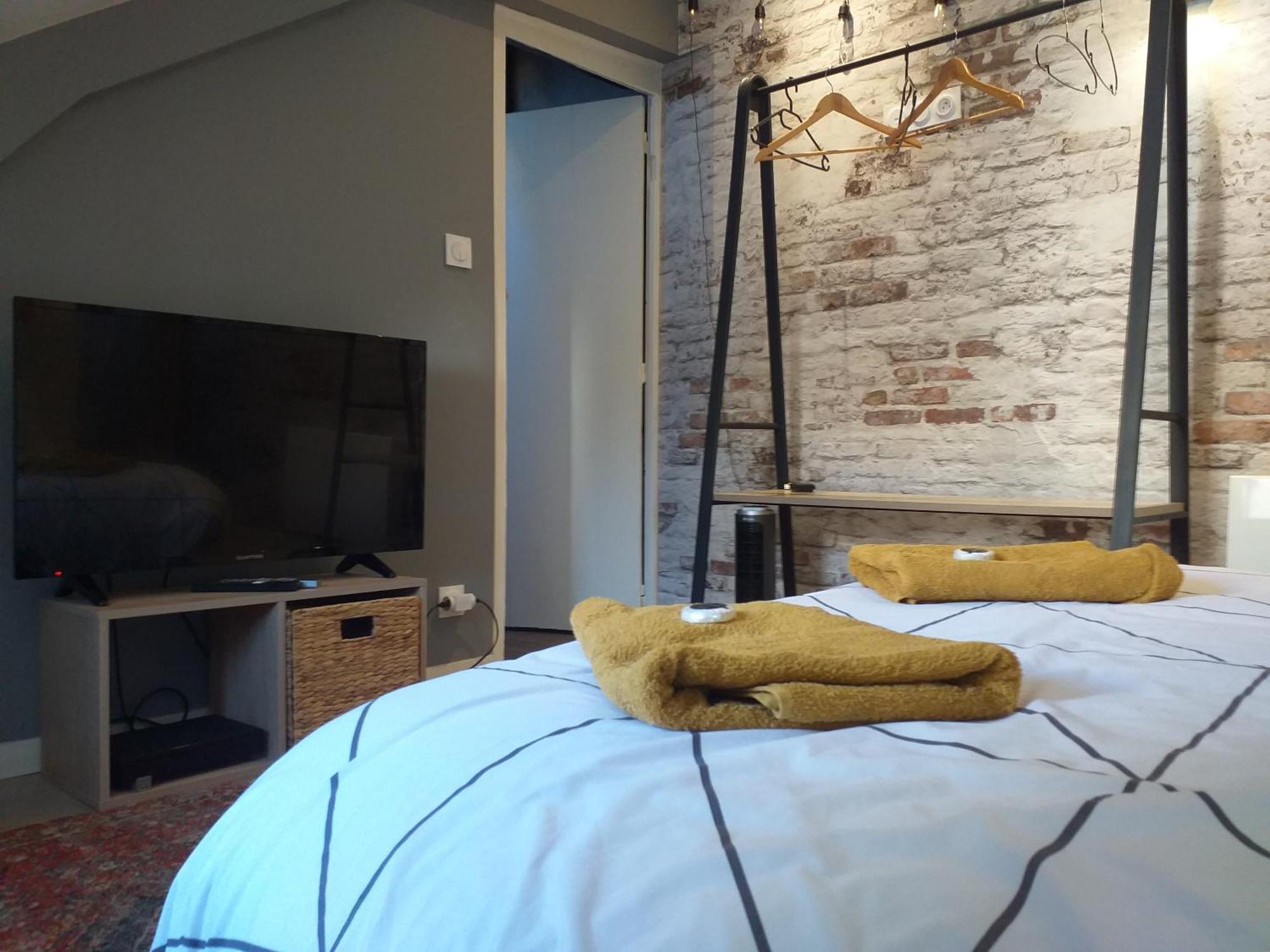Les Volets Bleus - Deux Appartements Et Un Studio, Jardin Bourges Habitación foto