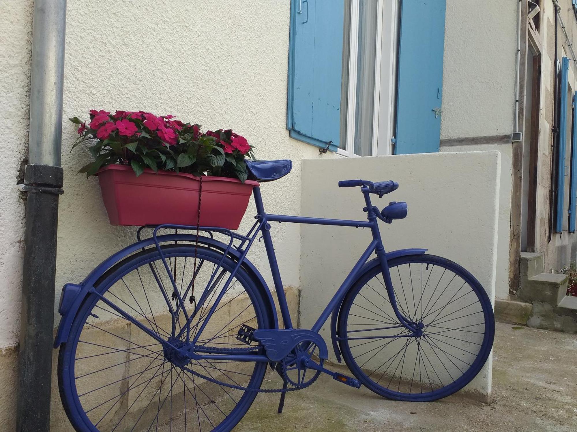 Les Volets Bleus - Deux Appartements Et Un Studio, Jardin Bourges Habitación foto