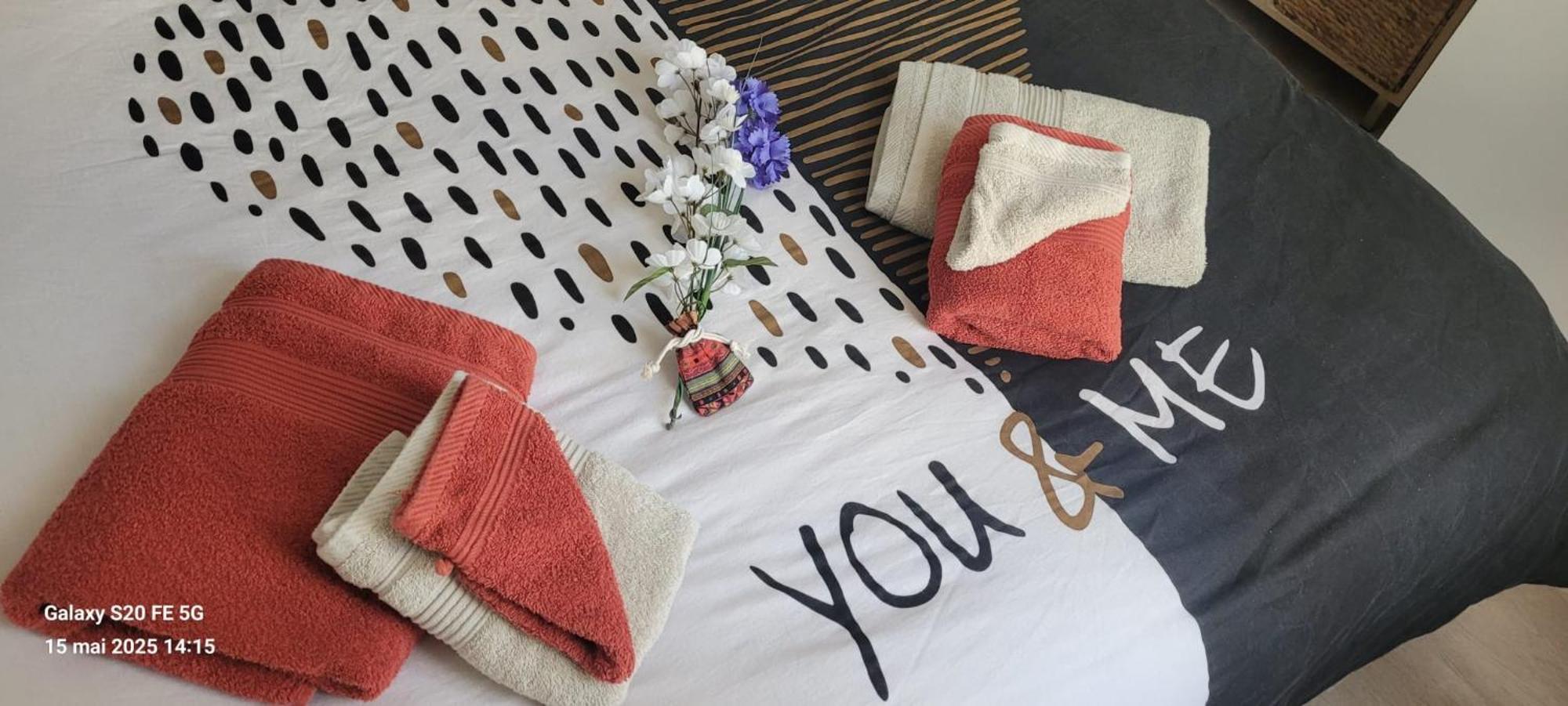 Les Volets Bleus - Deux Appartements Et Un Studio, Jardin Bourges Exterior foto