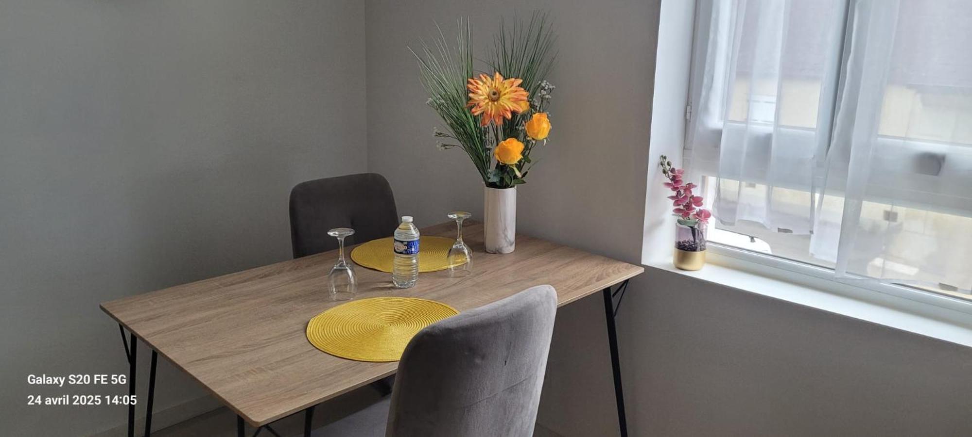 Les Volets Bleus - Deux Appartements Et Un Studio, Jardin Bourges Exterior foto